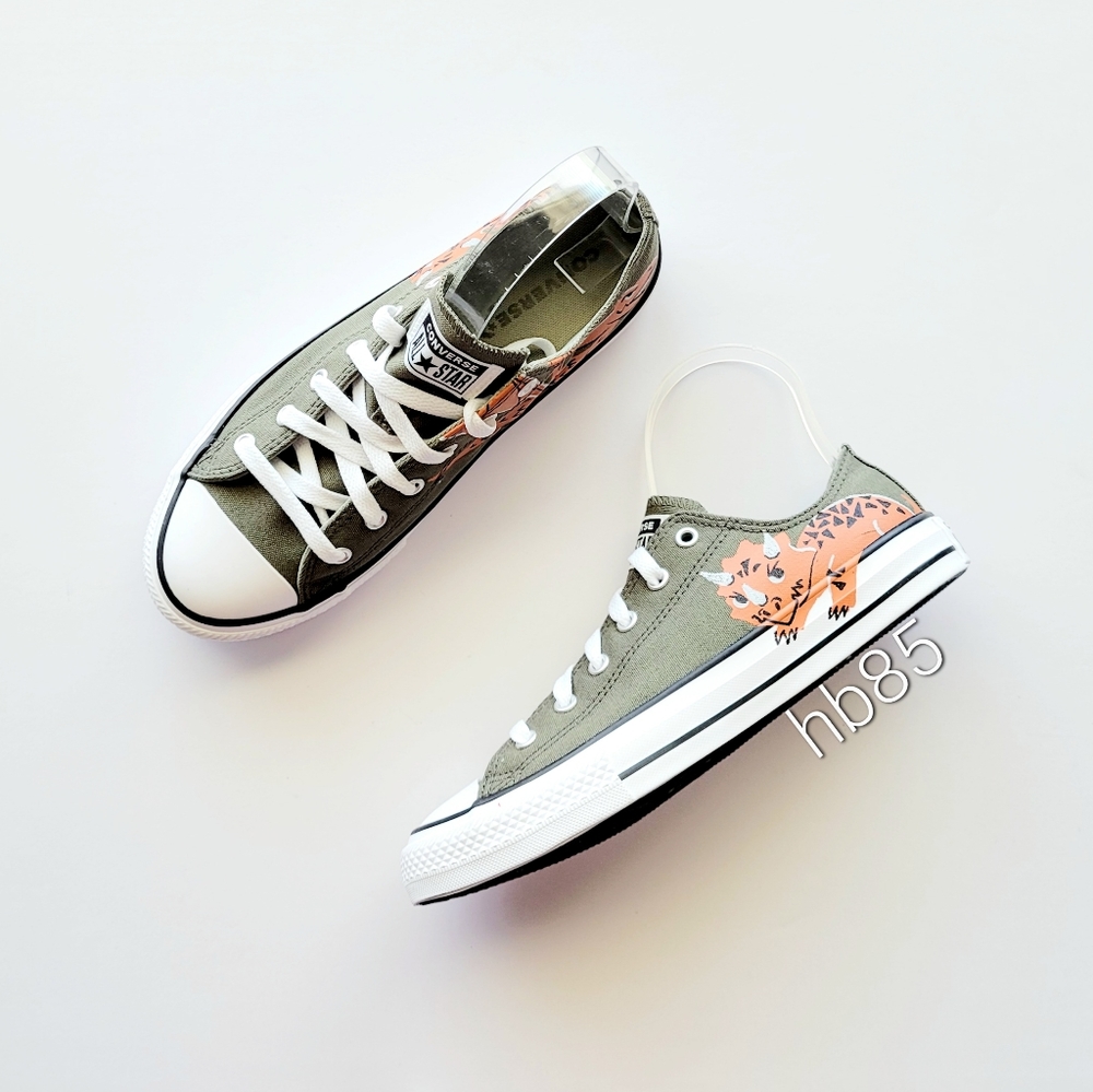 Converse CTAS OX Field Surplus Dinosaur Youth 2